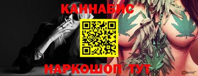 прущие крисы Камышлов