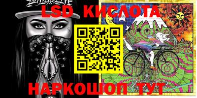 прущие грибы Кандалакша