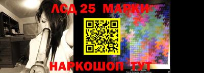 прущие крисы Камышлов