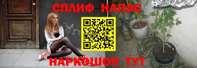 прущие грибы Кандалакша
