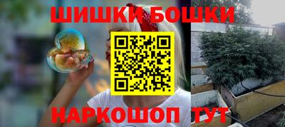 прущие грибы Кандалакша
