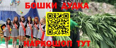 прущие грибы Кандалакша
