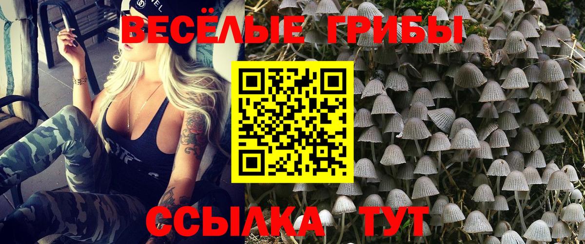 Псилоцибиновые грибы Magic Shrooms  закладки  Лысьва  Вход с VPN 