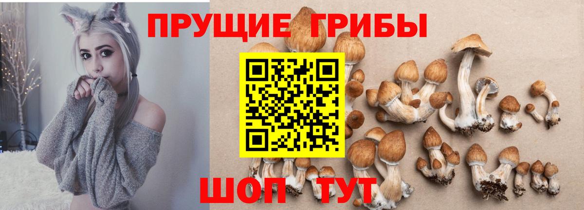 Галлюциногенные грибы мухоморы Лысьва